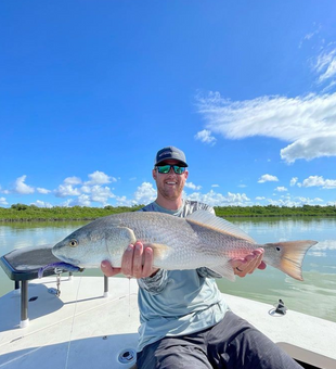 Redfish Thrive In Key Largo, FL